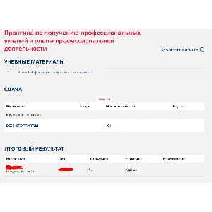 Производственная практика по (ПРИКЛАДНАЯ ИНФОРМАТИКА)