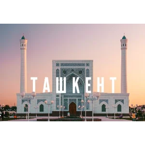 База 3000 Телеграм каналов и чатов города Ташкент