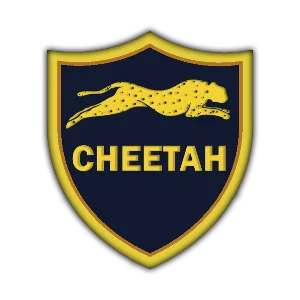 Cheetah Pro Tool - аренда аккаунта