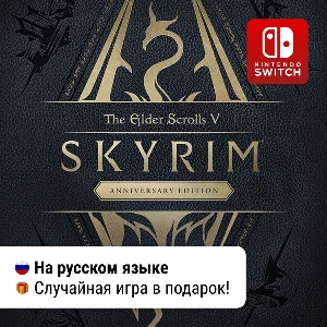 Skyrim Anniversary Edition | Nintendo Switch