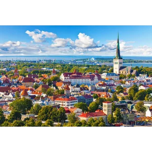 🥇Элитный прокси HTTP / SOCKS5 Эстония - 30/90 дней🔐