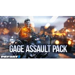 PAYDAY 2: Gage Assault Pack STEAM GIFT ВСЕ СТРАНЫ