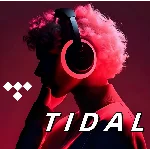 TIDAL HiFi Plus 1 Месяц Подписка | Автовыдача
