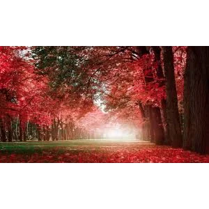 Тест товар с параметрами