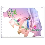 Тойбастар саукеле CorelDRAW 2019 Graphic