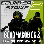 8000 ЧАСОВ • Counter Strike 2 • Родная почта •