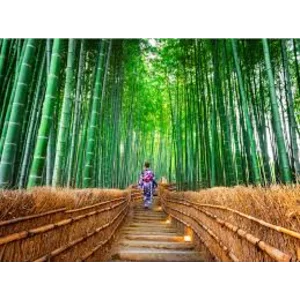 товар🚀 🚀 🚀 🚀 🚀 🚀для тестирования