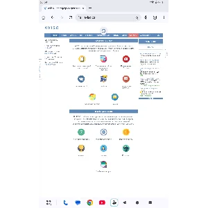 Готовый скрипт букса с защитой от взлома копия aviso