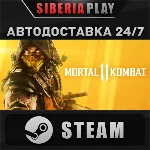 Mortal Kombat 11 STEAM АВТО RU/UA/KZ/СНГ
