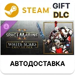 Warhammer 40,000 Space Marine 2 - White Scars Chapter P
