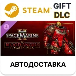 Warhammer 40,000 Space Marine 2 - Blood Angels Cosmetic
