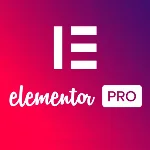 Elementor Pro 1 на год. Официальная лицензия