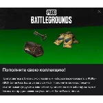 PUBG Survivor Pack #1 2025
