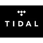 TIDAL HiFi Plus | 12 месяцев | Обновите аккаунт