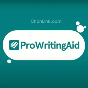 ProWritingAid Premium🍀6 Months Private