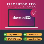 Elementor Pro на всю жизнь ( GPL Version )