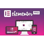 Оригинальная лицензия Elementor Pro на один год