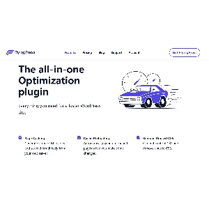 Оригинальная лицензия FlyingPress на один год