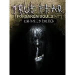 True Fear: Forsaken Souls Part 1 PC GOG