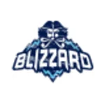 Blizzard CA 100 CAD