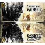 Dying Light: Enhanced Edition (Epic Аккаунт +Почта/RoW)