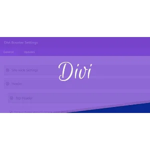 DIVI BOOSTER - оптимизатор DIVI BUILDER для WORDPRESS