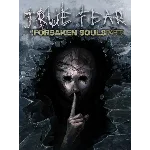 True Fear: Forsaken Souls Part 2 for PC on GOG