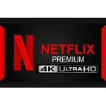 💎 Купить аккаунт NETFLIX PREMIUM 4K UHD 🔥 1 МЕСЯЦ