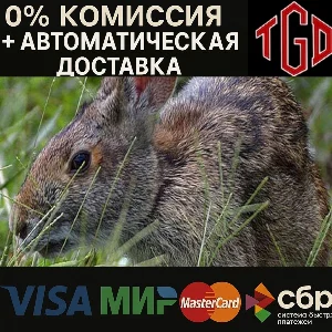 🔥 Warhammer 40,000: Dawn of War-Definitive | Steam РУ+