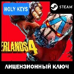 (РОССИЯ+МИР) BORDERLANDS 4 (ВСЕ ИЗДАНИЯ) STEAM КЛЮЧ