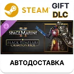 Warhammer 40,000 Space Marine 2 Black Templars Champ