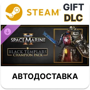 Warhammer 40,000 Space Marine 2 Black Templars Champ