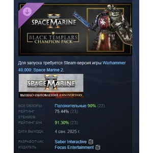 Warhammer 40,000 Space Marine 2 Black Templars Champion