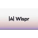 Wispr Flow Pro — 1 год владения | Голосовая диктовка на