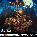 Torchlight 2 СТИМ Steam Gift