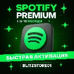 SPOTIFY PREMIUM | 1 / 3 / 12 МЕСЯЦЕВ