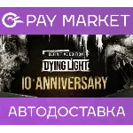Dying Light: Definitive 10th Anniversary | Steam GLOBAL
