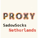 🇳🇱 Прокси Нидерланды ShadowSocks 1-3 месяца 🇳🇱