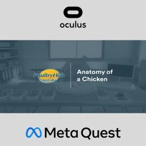 Anatomy of a Chicken Oculus Quest