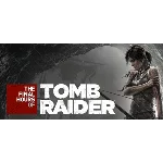 ⚡Tomb Raider - The Final Hours Digital Book |Steam АВТО