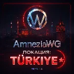 VPN ВПН AMNEZIA ТУРЦИЯ ЛИЧНЫЙ AMNEZIAWG