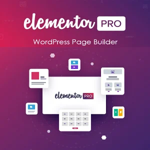 Официальная лицензия плагина Elementor Pro на 1 год