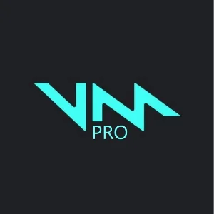 VOICEMOD PRO  (Lifetime)  -   Лицензионный ключ