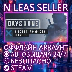 DAYS GONE + BROKEN ROAD DLC BUNDLE | STEAM | ОФФЛАЙН