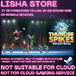 Thunder Spikes Volleyball Стим Оффлайн На 90 дней