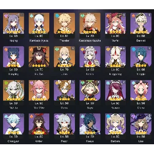 [2in1] GENSHIN IMPACT + Honkai: Star Rail / 55 AR