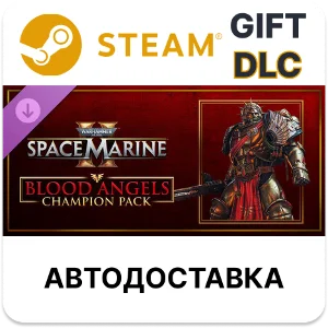 Warhammer 40,000 Space Marine 2 - Blood Angels Champion