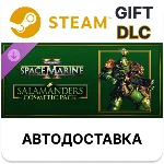 Warhammer 40,000 Space Marine 2 - Salamanders Cosmetic