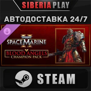 Warhammer 40,000: Space Marine 2 Blood Angels Champion