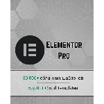 Elementor Pro 1 год | Официальная лицензия